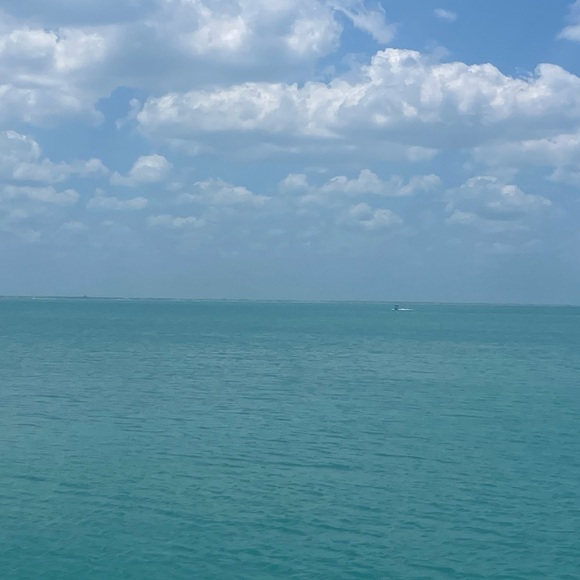 Meet your Posher, Titus - Picture 1 of 1